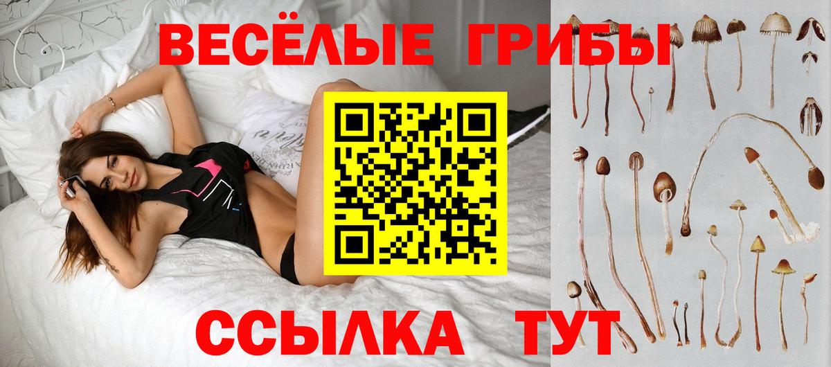 Псилоцибиновые грибы мухоморы  Галлюциногенные грибы Psilocybe  Вход с VPN  Богородицк 